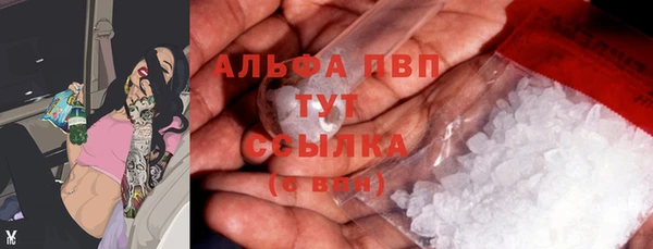PSILOCYBIN Сафоново