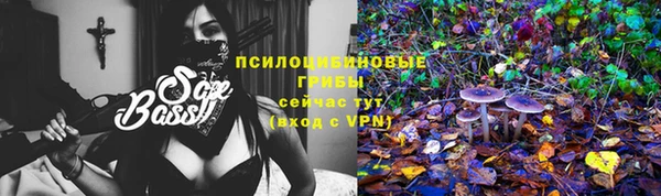 меф Алексин